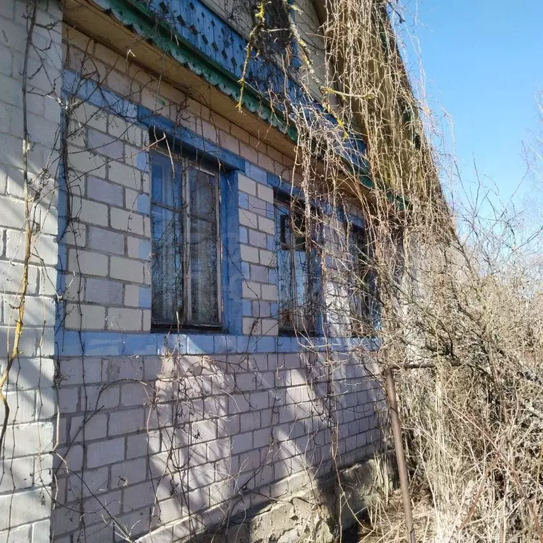 Дом в Новгородская область, Солецкий муниципальный округ, д. Леменка ... - Фото 2