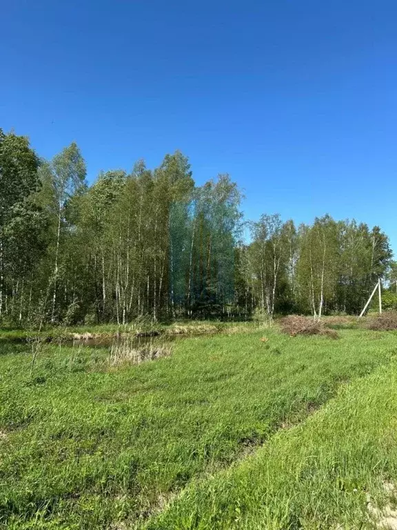 Участок в Московская область, Чехов муниципальный округ, д. Ивачково  ... - Фото 2