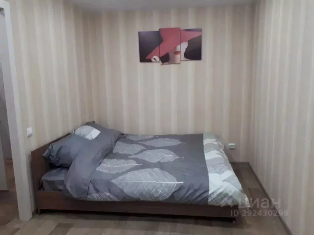 1-к кв. Нижегородская область, Нижний Новгород ул. Белинского, 55 ... - Фото 1