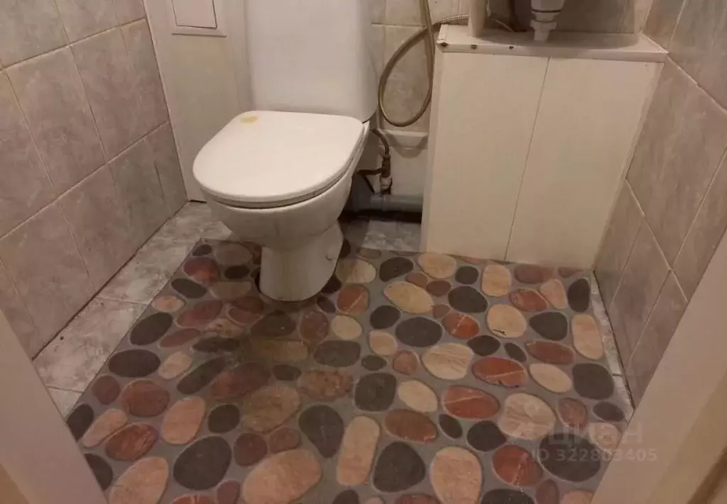 2-к кв. Новосибирская область, Новосибирск ул. Татьяны Снежиной, 48 ... - Фото 1