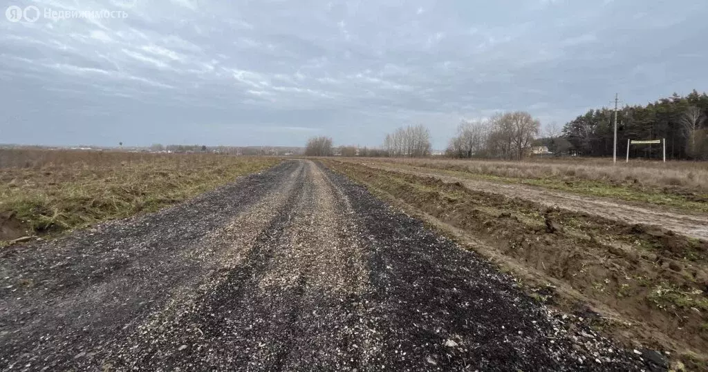 Участок в Домодедово, КП Светлый (7.94 м) - Фото 0