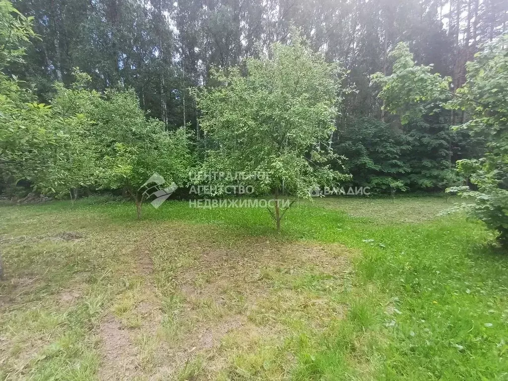 Участок в Рязанская область, Рязань пос. Мирный,  (6.0 сот.) - Фото 2