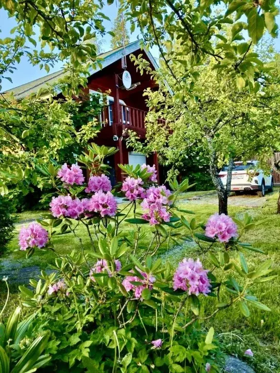 Дом в Ленинградская область, Ломоносовский район, Большеижорское ... - Фото 1