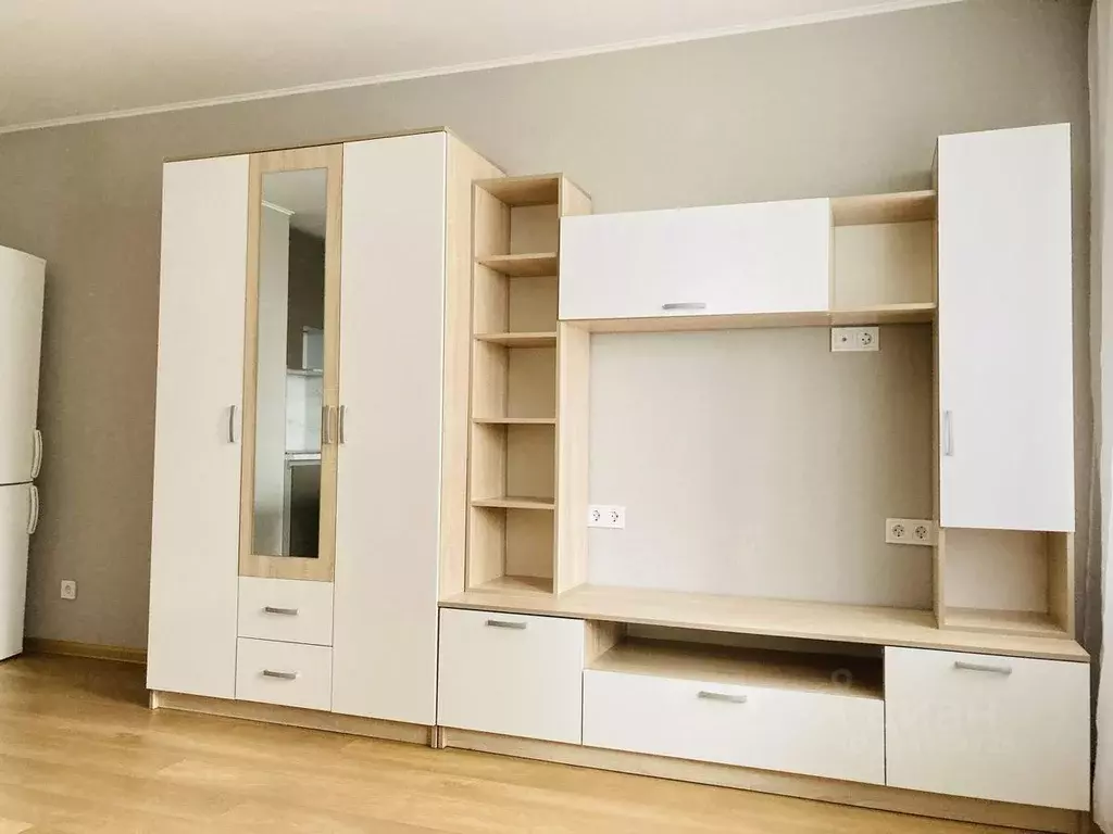 Студия Санкт-Петербург пос. Парголово, Заречная ул., 13к1 (26.8 м) - Фото 2