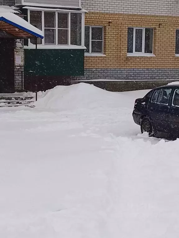 2-к кв. Нижегородская область, Чкаловск Народная ул., 26 (45.0 м) - Фото 2