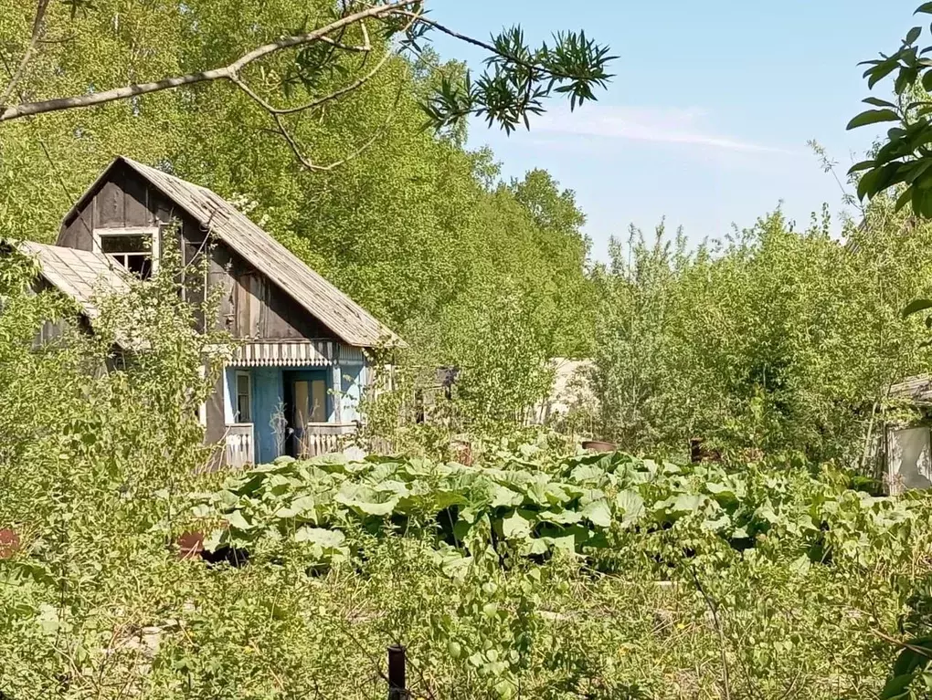 Участок в Сахалинская область, Южно-Сахалинск Металлист СНТ, ул. ... - Фото 0