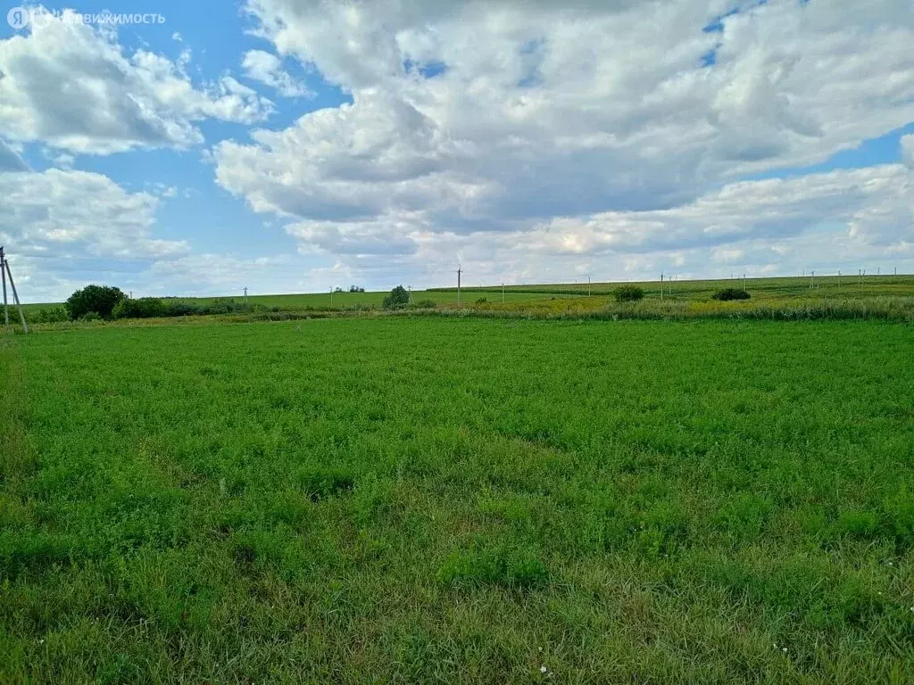Участок в Высокогорский район, село Шапши (34.5 м) - Фото 0