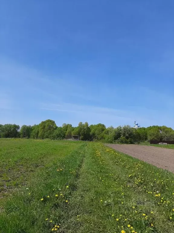 Участок в Псковская область, Гдовский район, Юшкинская волость, д. ... - Фото 1