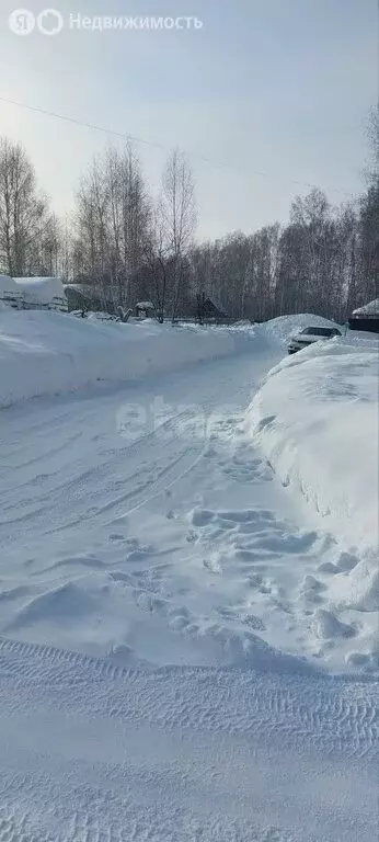 Участок в Каменский сельсовет, СНТ Иня-НАПО (5 м) - Фото 1