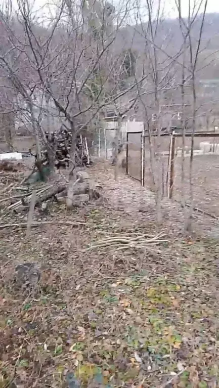 Участок в Краснодарский край, Геленджик городской округ, Строитель СТ  ... - Фото 2