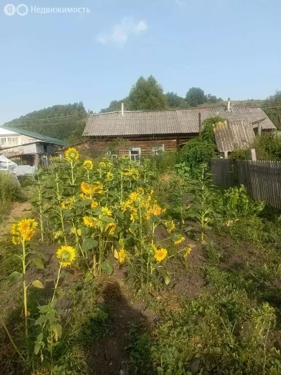 2-комнатная квартира: село Майма, Алгаирская улица, 3 (23 м) - Фото 1