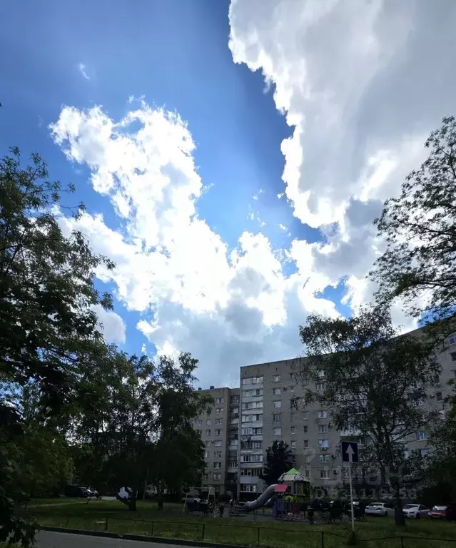 3-к кв. Ставропольский край, Ставрополь ул. Ленина, 474 (55.0 м) - Фото 2