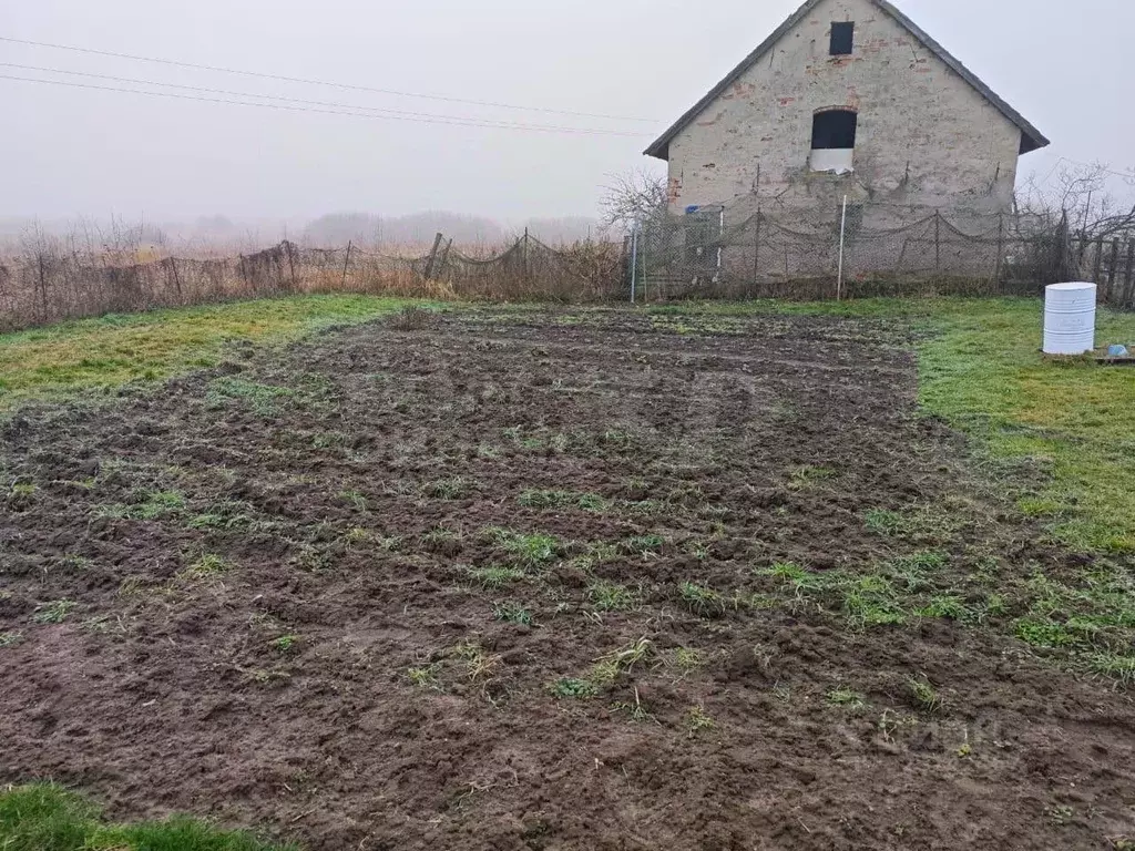 Участок в Калининградская область, пос. Загородное ул. Центральная ... - Фото 1