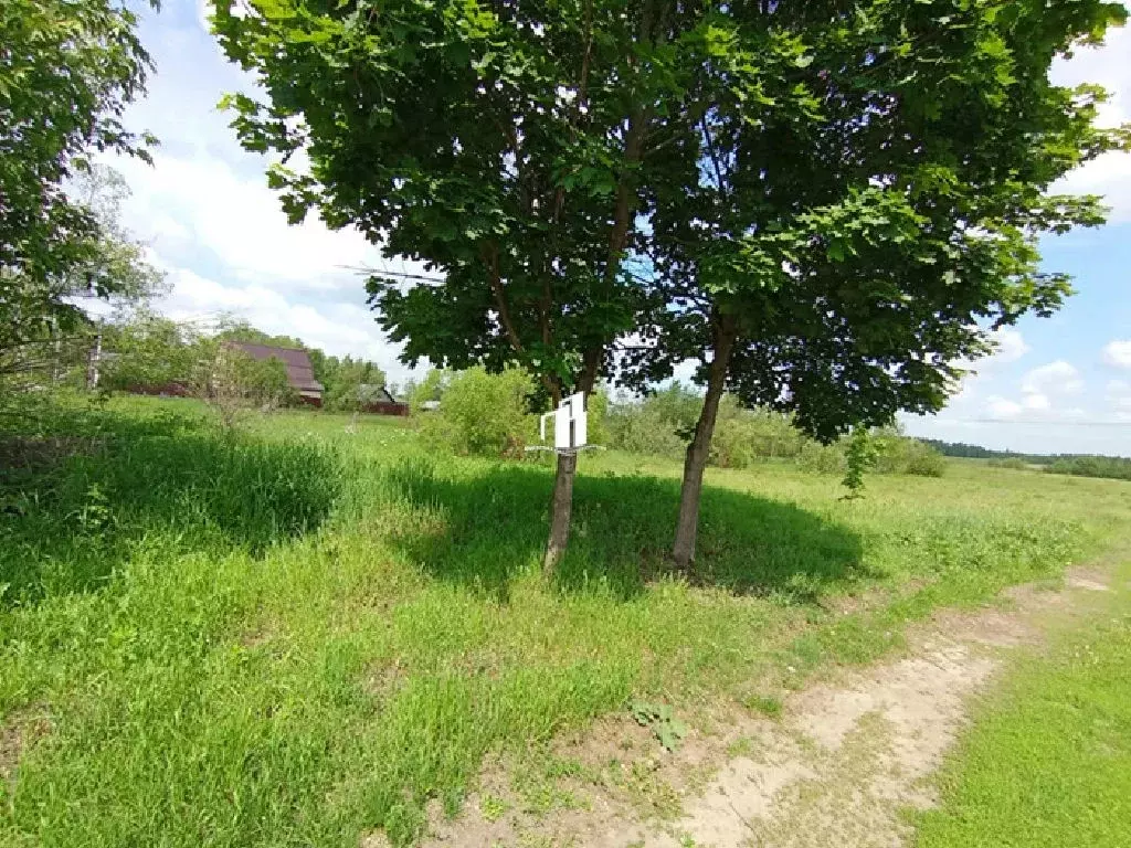 Продается участок в д. Рыжево - Фото 1