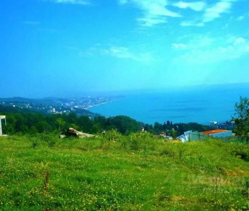 Дачные Участки В Сочи Недорого Купить
