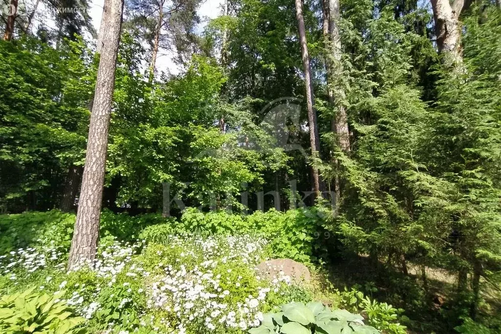 Участок в Поздняково, КП Никольская слобода (22.4 м) - Фото 1
