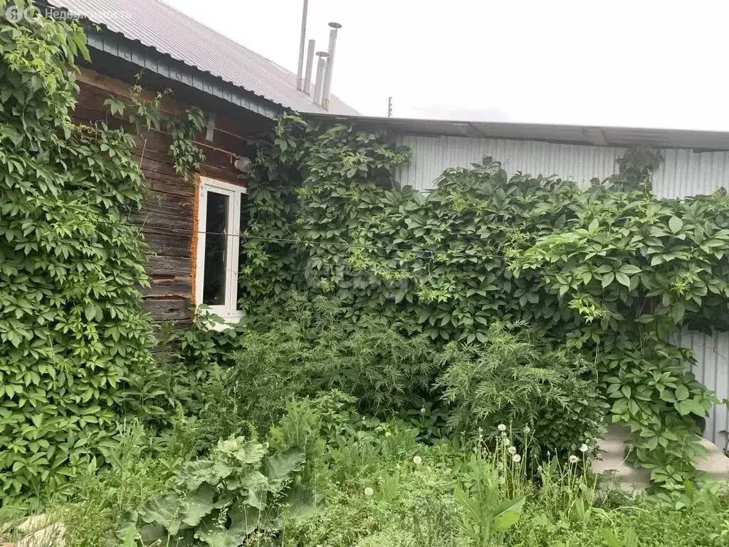 1-комнатная квартира: Крутиха, Трудовая улица, 42 (37.4 м) - Фото 2