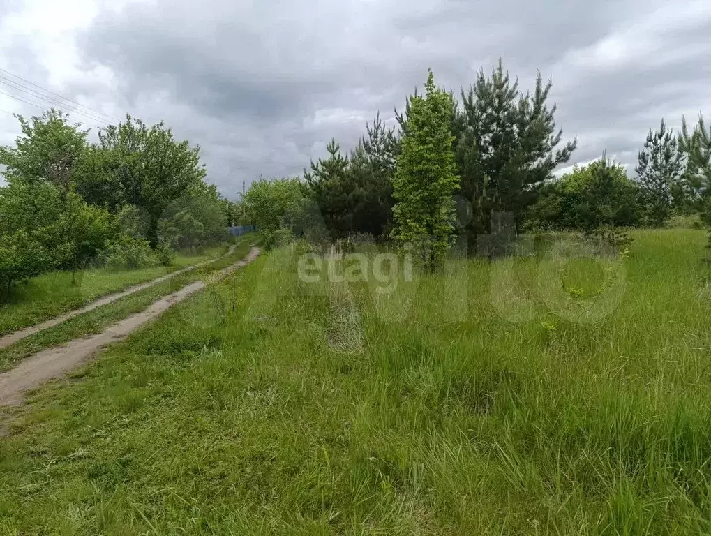 Участок 9 сот. (СНТ, ДНП) - Фото 1