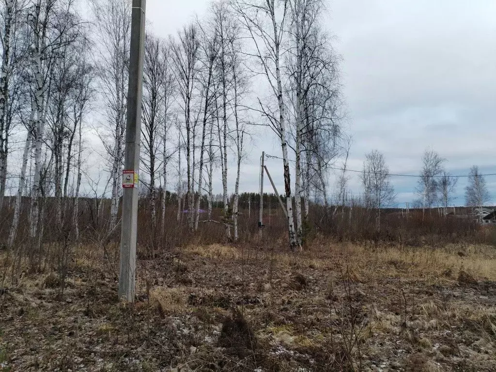 Участок в Свердловская область, Сысертский муниципальный округ, с. ... - Фото 2