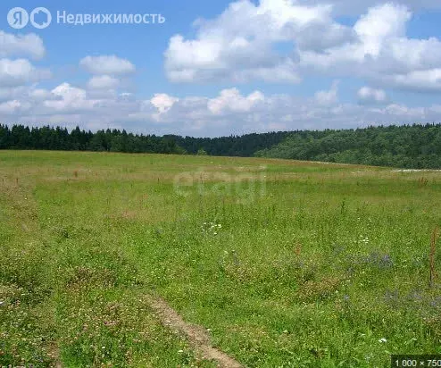 Участок в Пермский край, Верещагинский муниципальный округ, посёлок ... - Фото 0