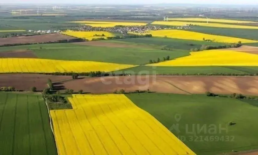 Участок в Оренбургская область, Шарлыкский район, Ратчинский ... - Фото 1