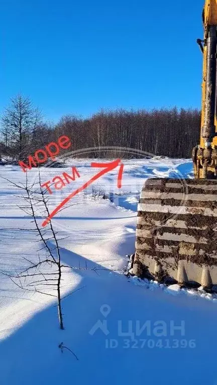 Участок в Калининградская область, Зеленоградский муниципальный округ, ... - Фото 1