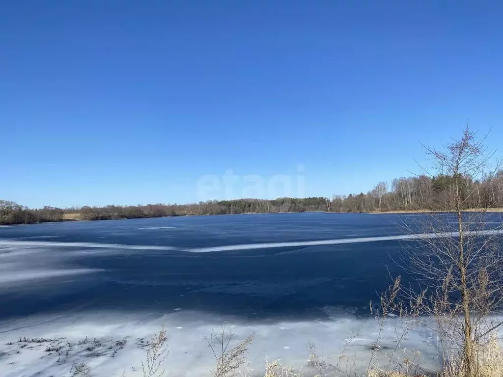 Торговая площадь в Смоленская область, Демидовский муниципальный ... - Фото 1