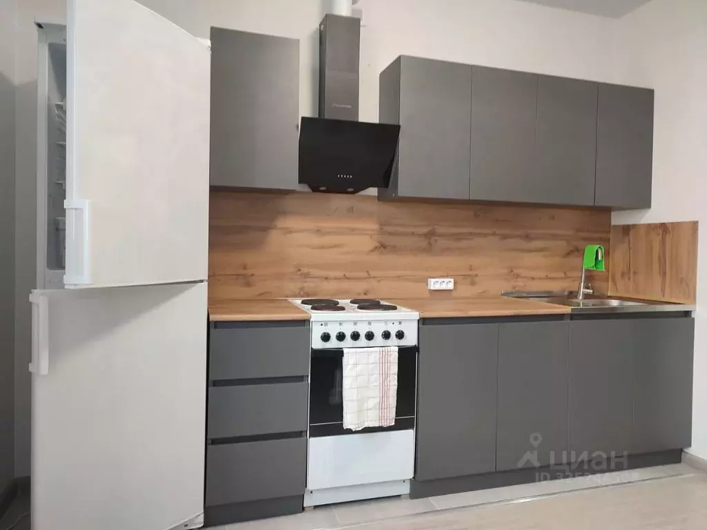 2-к кв. Московская область, Подольск городской округ, д. Борисовка ул. ... - Фото 1