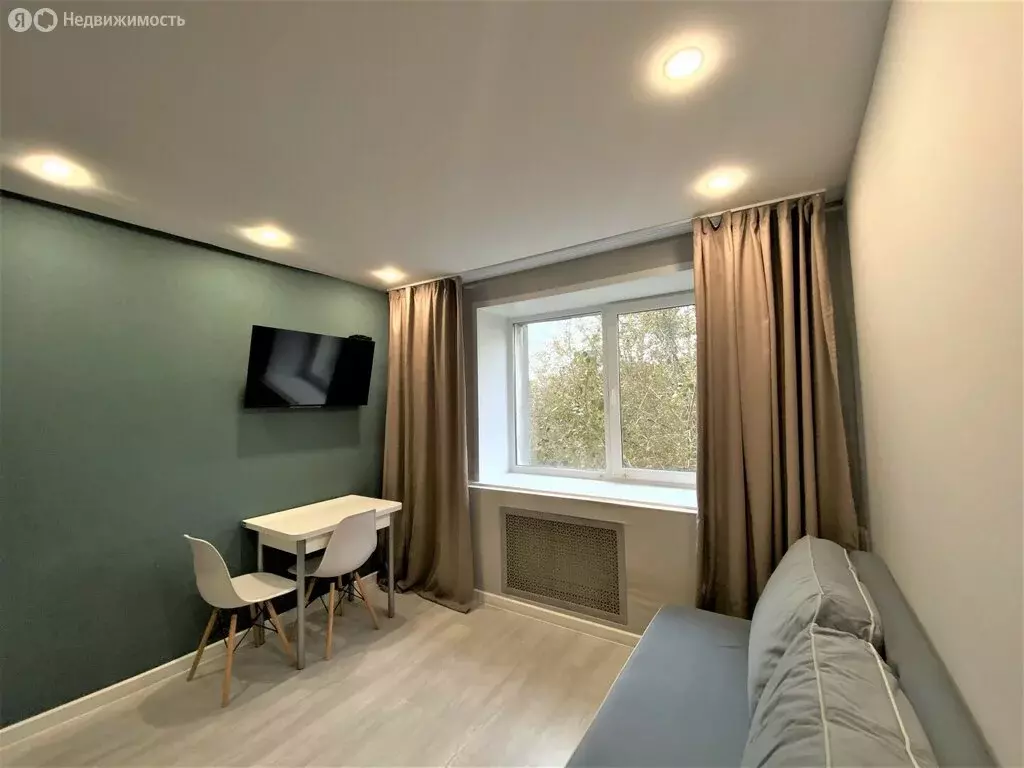 Квартира-студия: Пермь, Подлесная улица, 17 (16.8 м) - Фото 2