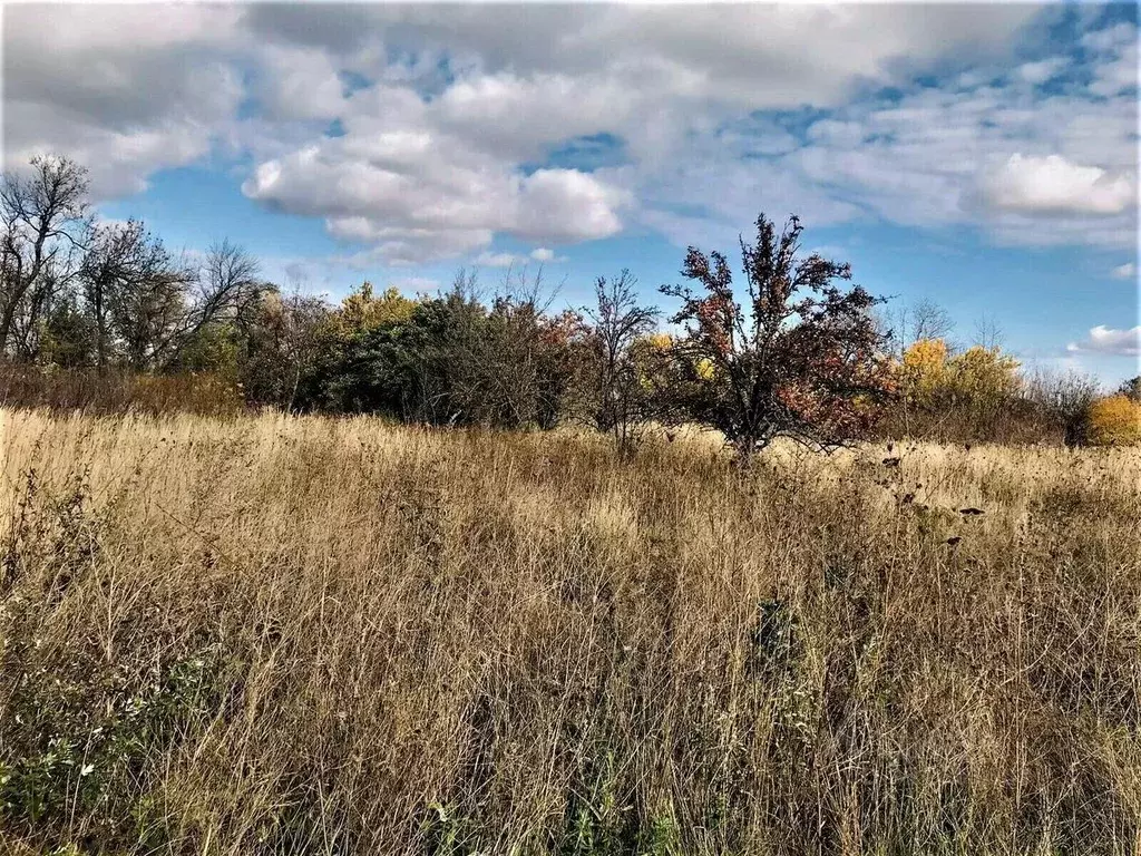 Участок в Краснодарский край, Темрюк Северные Сады СОТ,  (9.0 сот.) - Фото 2