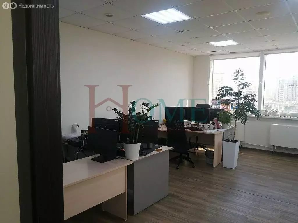 Офис (78.2 м) - Фото 2