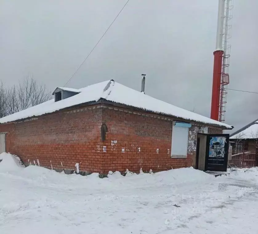 Торговая площадь в Пермский край, Александровск Яйва пгт, ул. Ленина, ... - Фото 2