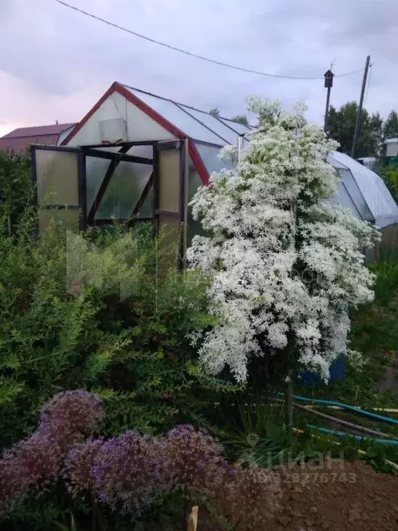 Дом в Тюменская область, Тюмень Лаванда садовое товарищество, ул. 10-я ... - Фото 1