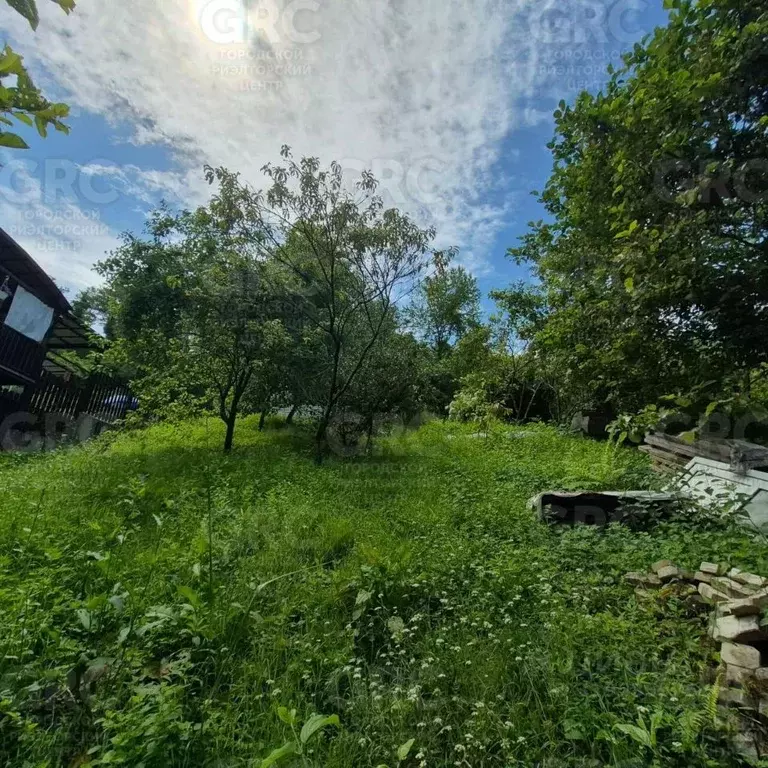 Участок в Краснодарский край, Сочи городской округ, с. Вардане-Верино ... - Фото 1