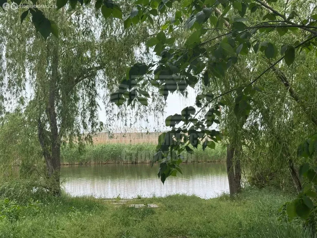 Дом в Неклиновский район, село Николаевка (270 м) - Фото 1