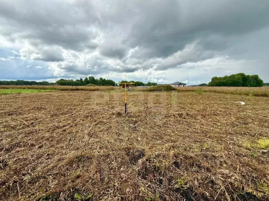 Участок в Ставропольский край, Шпаковский муниципальный округ, с. ... - Фото 1