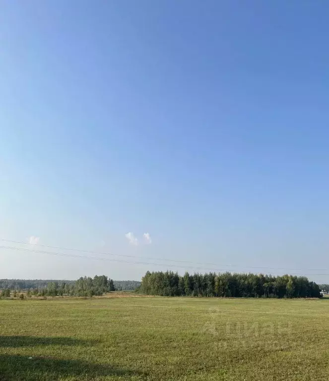 Участок в Ивановская область, Ивановский район, Беляницкое с/пос, д. ... - Фото 1