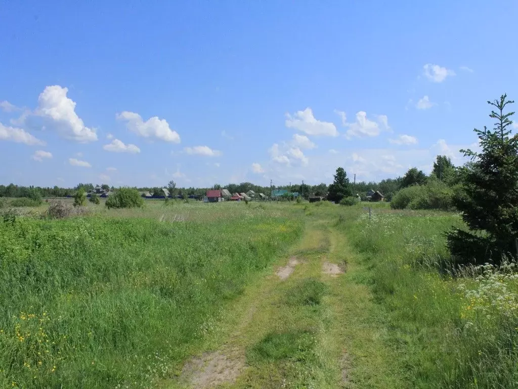 Купить Участок В Гдовском Районе Псковской