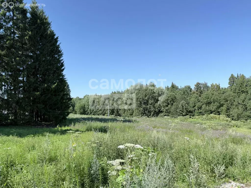 Участок в Завьялово, Лебединая улица (12 м) - Фото 1