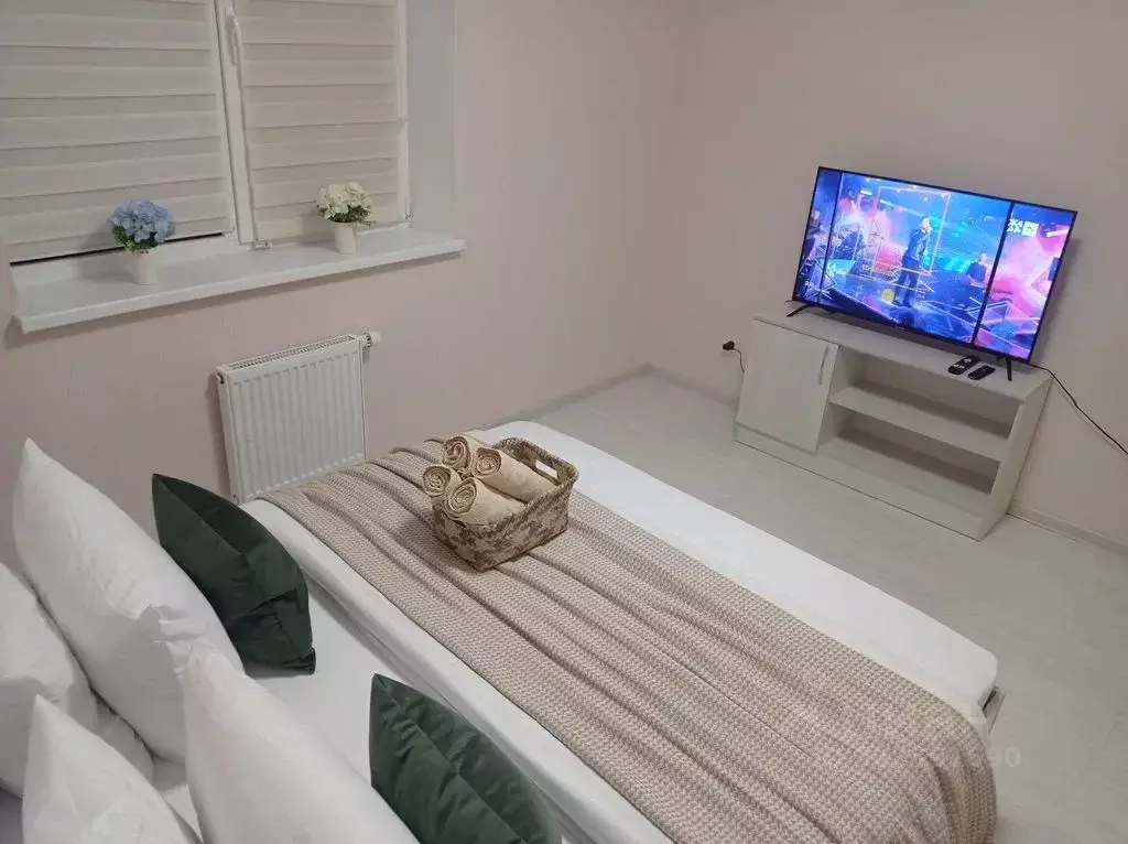 1-к кв. Волгоградская область, Волгоград ул. Гаря Хохолова, 3 (33.0 м) - Фото 2