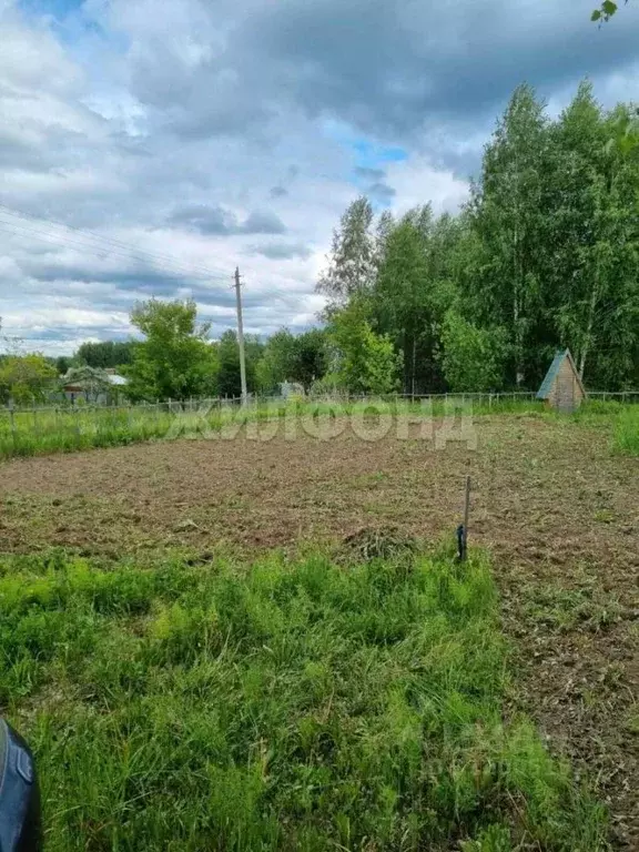 Дом в Новосибирская область, Мошковский район, Галантерейщик садовое ... - Фото 1