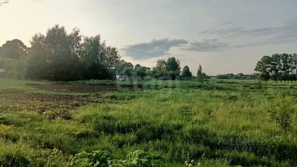 Участок в Ярославская область, Ярославский муниципальный округ, д. ... - Фото 1