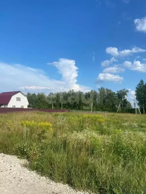Участок в Тульская область, Тула городской округ, с. Зайцево  (20.0 ... - Фото 1