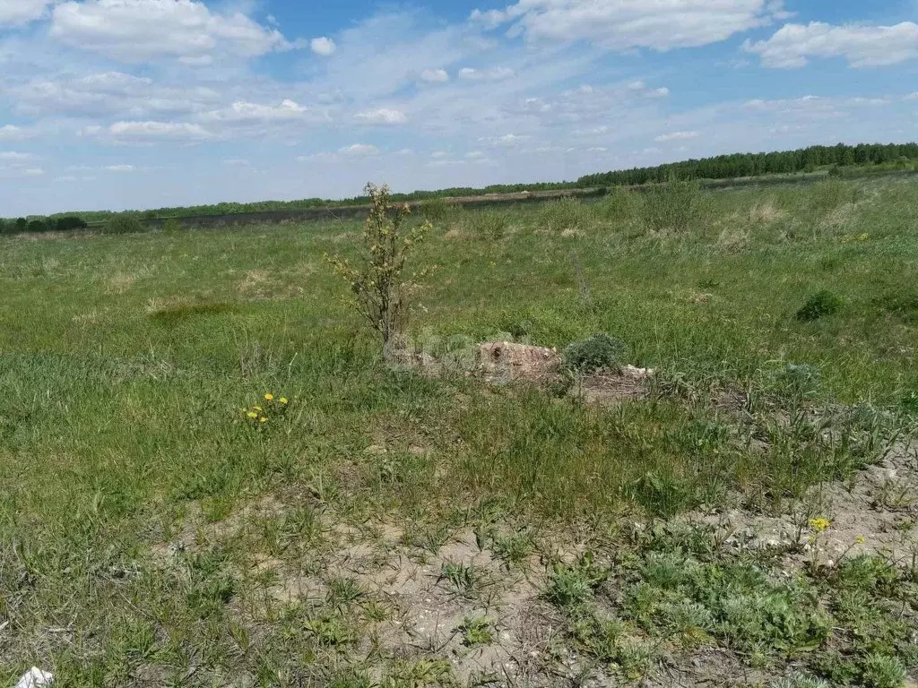 Участок в Владимирская область, Муром с. Панфилово,  (200.0 сот.) - Фото 1