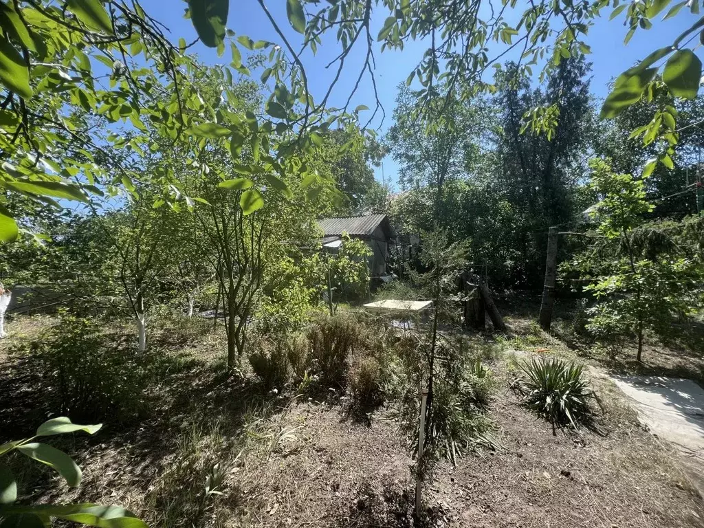 Участок в Ростовская область, Ростов-на-Дону Садовод-Любитель садовое ... - Фото 1