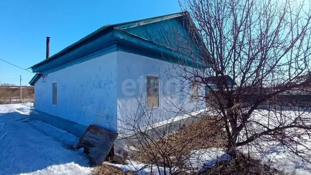 Дом в Амурская область, Благовещенск городской округ, с. Белогорье ул. ... - Фото 1