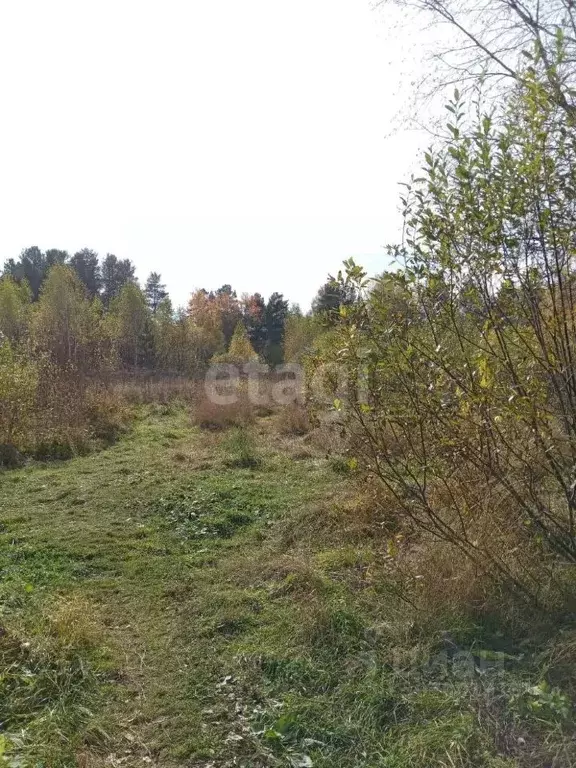 Участок в Свердловская область, Горноуральский городской округ, с. ... - Фото 0