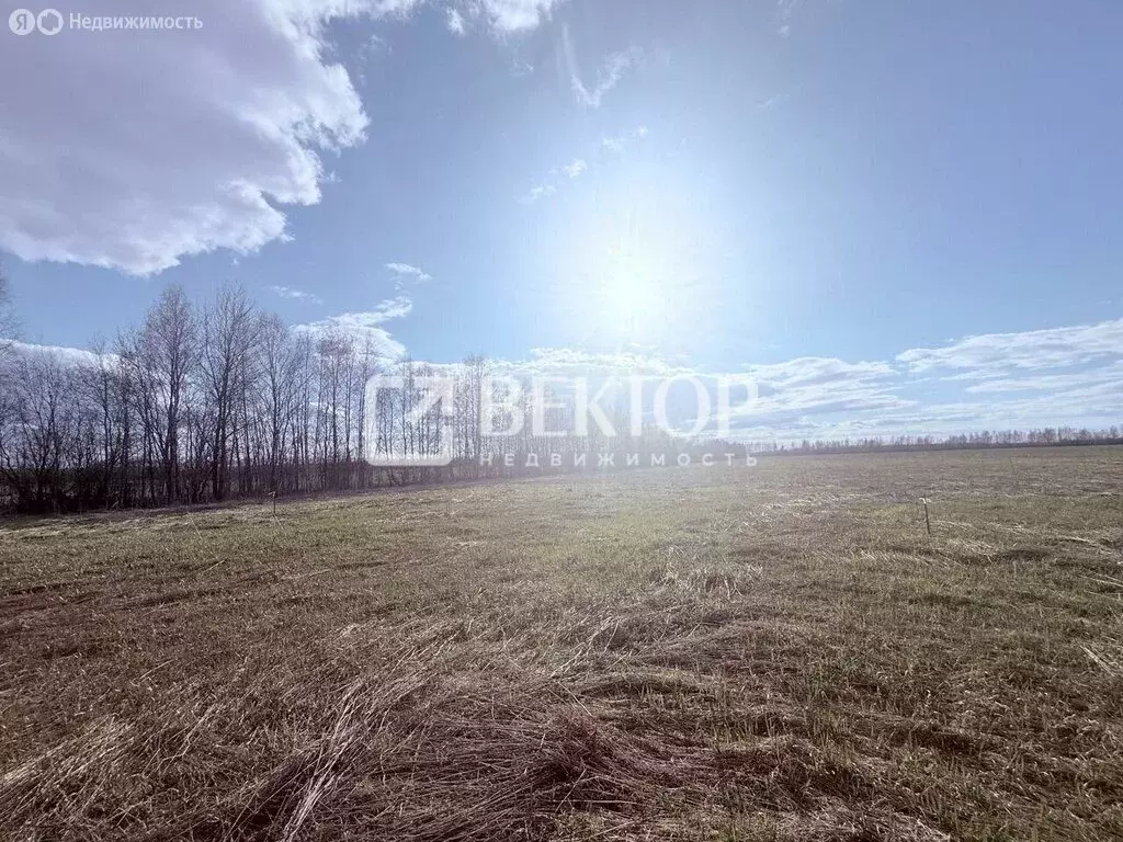 Участок в Кострома (8 м) - Фото 1