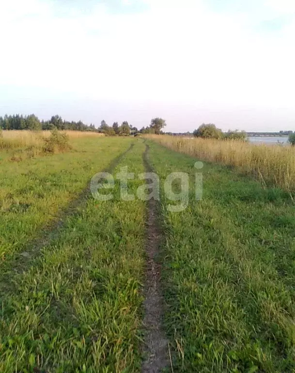 Участок в Ярославский муниципальный округ, деревня Сорокино (16 м) - Фото 2