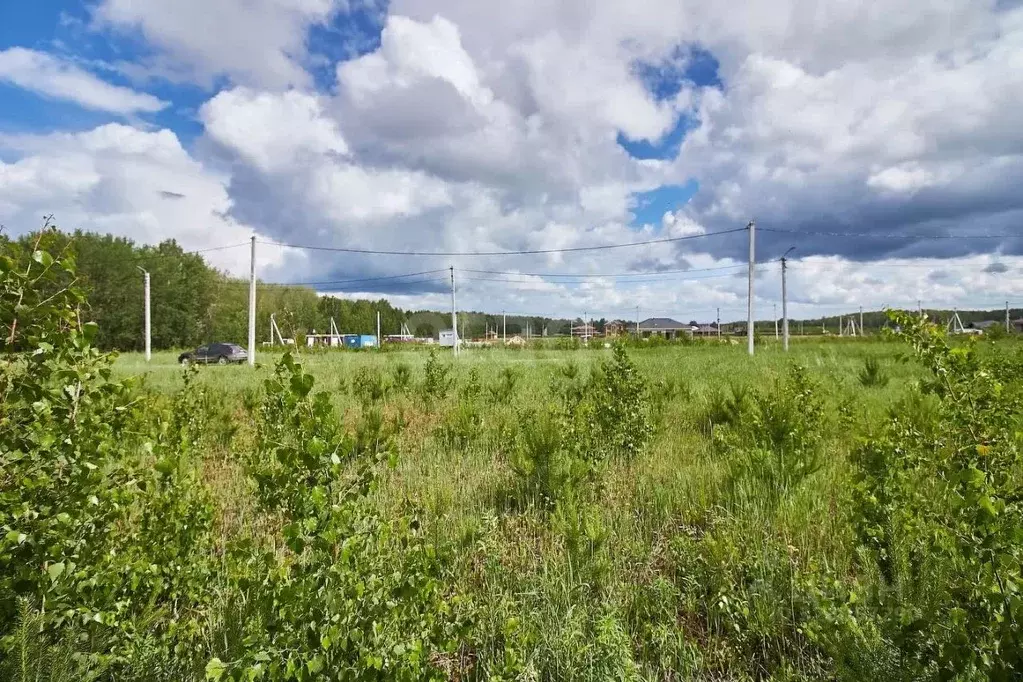 Участок в Тюменская область, Тюменский муниципальный округ, с. Кулига ... - Фото 1